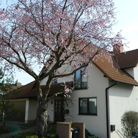 Ferienwohnung Kiko Zornheim Buitenkant foto